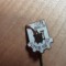 Insigne (3) Industrie IOB BALJ