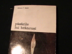 PASARILE LUI BRANCUSI-ATENA T. STEAR-TRAD. ANA OLOS-160 PG- foto