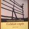 Nicolae Coande - Celalalt capat - interviuri (Editura Curtea Veche, 2006)