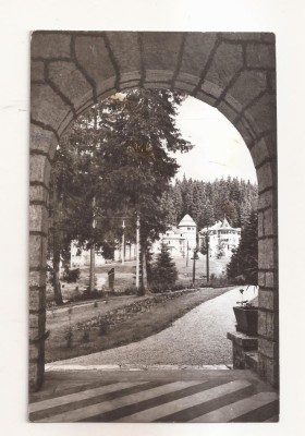 RF206 - Carte Postala - Borsec, circulata 1966 foto