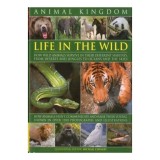 Cumpara ieftin Animal Kingdom, Michael Chinery