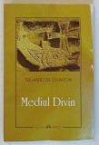 MEDIUL DIVIN de TEILHARD DE CHARDIN , 2007