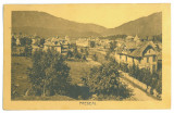 467 - PREDEAL, Panorama, Romania - old postcard - used - 1914, Circulata, Printata