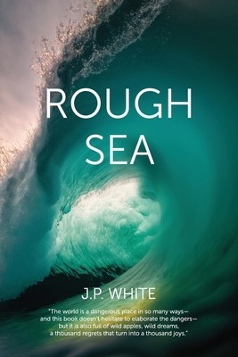 Rough Sea: poems foto