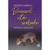 Br&uuml;sszel ut&aacute;n szabadon - T&ouml;rt&eacute;netek a k&ouml;zelm&uacute;ltb&oacute;l - Gerzsenyi Gabriella