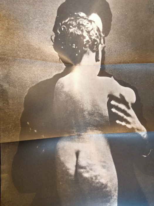 Afis sculptura Brancusi, anii 1980