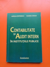 Contabilitate și Audit Intern &icirc;n Instituțiile Publice - Aurelia Ștefănescu, Eugeniu Țurlea