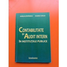 Contabilitate și Audit Intern &icirc;n Instituțiile Publice - Aurelia Ștefănescu, Eugeniu Țurlea