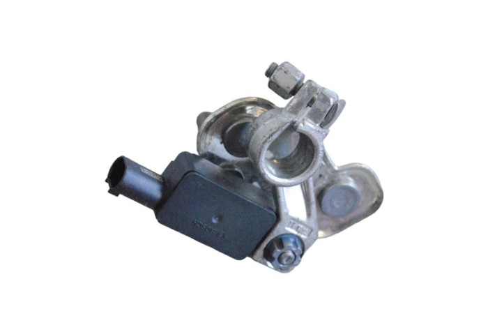 Borna cablu baterie JAGUAR E-PACE X540 2018 OEM: HPLA-10C679-AC,0199300005 25434393