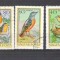 Hungary 1973 Birds, used E.170