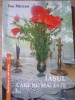 Iasul Care Nu Mai Este - Ion Mitican, Editura Tehnopress 2009, Istorie, 244 pagini