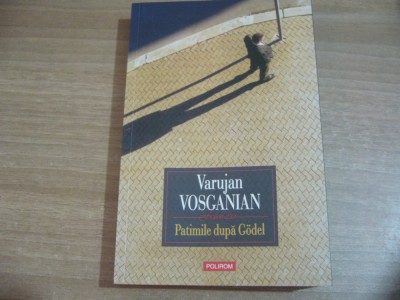 Varujan Vosganian - Patimile dupa Godel foto