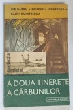 A DOUA TINERETE A CARBUNILOR de ILIE BARBU ... CALIN DUMITRESCU , 1986