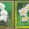 DB1 Flora Orhidee 1993 Grenada 2 x SS MNH