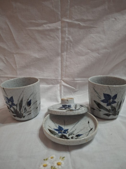 Set ceai japonez Tokkuri Ochoko