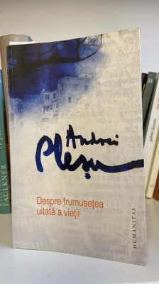 Andrei Plesu - Despre frumusetea uitata a vietii foto