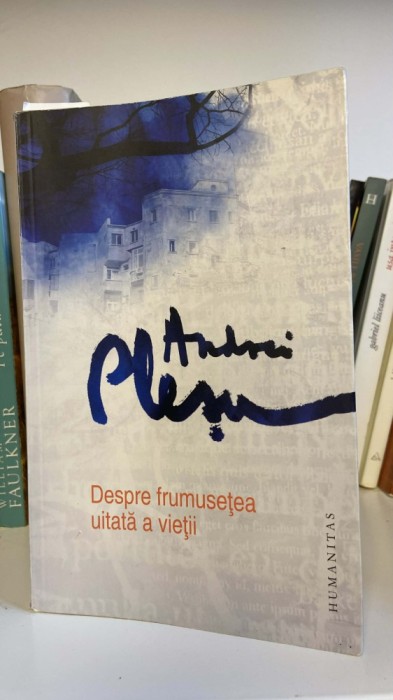 Andrei Plesu - Despre frumusetea uitata a vietii