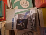 Rolanda vintage