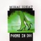 Mihai Ignat, Poeme in doi