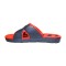 icon 5