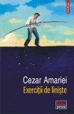 Exercitii de liniste | Cezar Amariei, 2021, Polirom