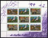 Rusia 1992 - Pasari, rate, bloc neuzat