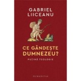 Ce gandeste Dumnezeu? Putina teologie. Editia a II-a - Gabriel Liiceanu