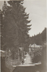 Baile Tusnad aprox. 1940 - Vedere foto
