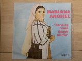 Mariana anghel tare-as vrea floare sa fiu 1992 disc vinyl lp muzica populara ST EPE 04204 VG+, Electrecord