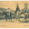 2596 - ETHNIC, Country Life, horse, donkeys, Litho - old postcard - unused