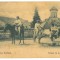 2596 - ETHNIC, Country Life, horse, donkeys, Romania - old postcard - unused