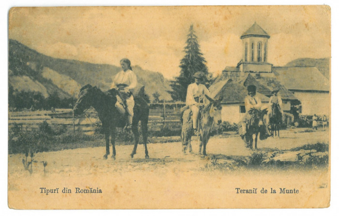 2596 - ETHNIC, Country Life, horse, donkeys, Romania - old postcard - unused