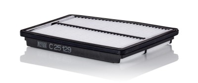 MANN-FILTER C 25 129 Filtru aer foto