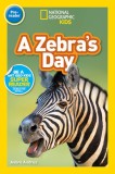 National Geographic Readers: A Zebra&#039;s Day (Pre-Reader)