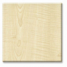 RAKI Blat de masa dreptunghiular 70x120cm Werzalit Maple grosime 21mm foto