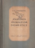 Carte Anatomia Animalelor Domestice - D. M. Avtocratov, 1952, 284 pagini, 13x20 cm, Coperti Cartonate, Stare Buna
