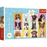 PUZZLE TREFL 60 CATEI DRAGUTI