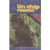 Un chip frumos
