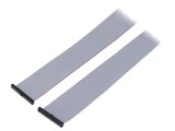 Cablu panglică SAMTEC IDC 609,6mm FFSD-25-D-24.00-01-N cu conectori IDC ambele părți