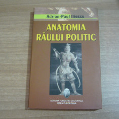 Adrian-Paul Iliescu - Anatomia raului politic