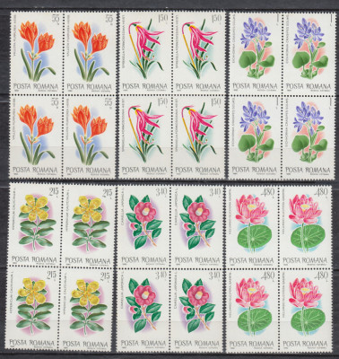 1980 LP 1007 FLORI EXOTICE DIN GRADINA BOTANICA BUCURESTI BLOCURI DE 4 MNH foto