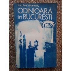 ODINIOARA, IN BUCURESTI - NICOLAE VATAMANU