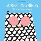 Surprising Birds - Lift-the-Flap Colours |, 2019, Walker Books