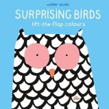 Surprising Birds - Lift-the-Flap Colours |