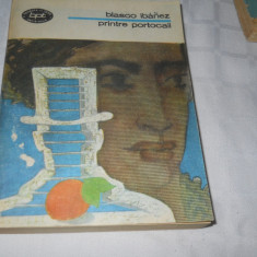 BLASCO IBANEZ - PRINTRE PORTOCALI - B P T ,1985, Carte Noua