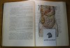 Anatomia Omului (Viscere) - Z. Iagnov, E. Repciuc, G.Russu