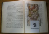 Anatomia Omului (Viscere) - Z. Iagnov, E. Repciuc, G.Russu