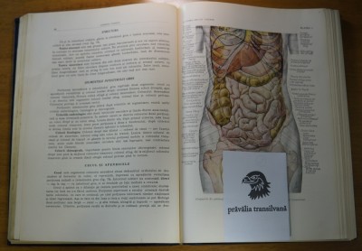 Anatomia Omului (Viscere) - Z. Iagnov, E. Repciuc, G.Russu foto