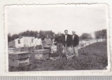 Bnk foto - Stupina in Delta Dunarii - anii `60, Alb-Negru, Romania de la 1950, Cladiri