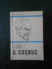 OCTAV SULUTIU - INTRODUCERE IN POEZIA LUI G. COSBUC foto